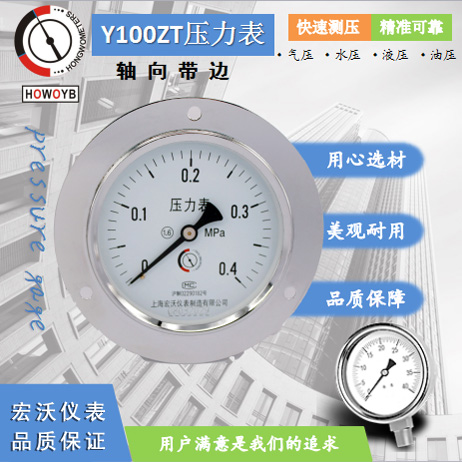 Y100ZT轴向带边压力表