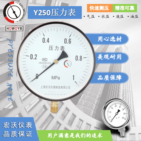 Y250压力表