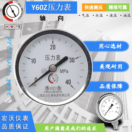 Y60Z轴向压力表