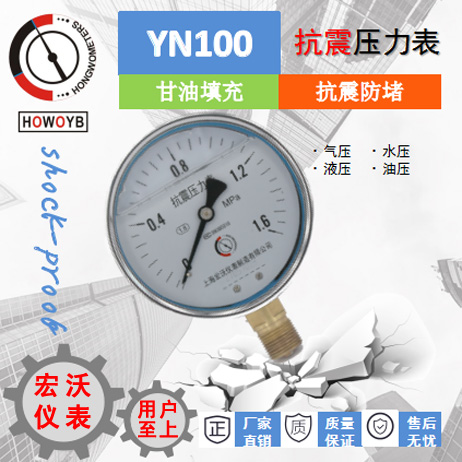 YN100抗震压力表