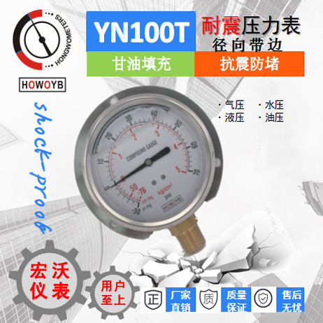 YN100T耐震压力表