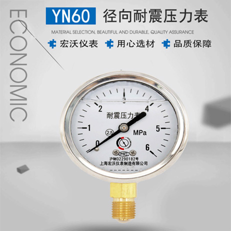 YN60耐震径向压力表