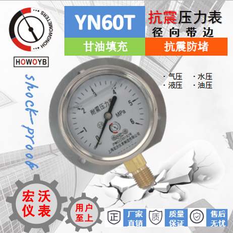 YN60T耐震压力表