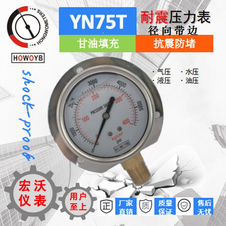 YN75T耐震径向带边压力表