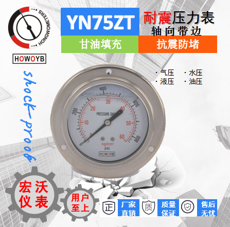 YN75ZT耐震轴向带边压力表