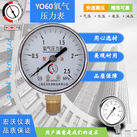 YO60氧气表