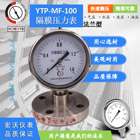 YTP-MF-100法兰型不锈钢隔膜压力表