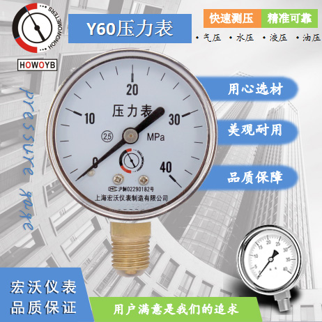 Y60压力表